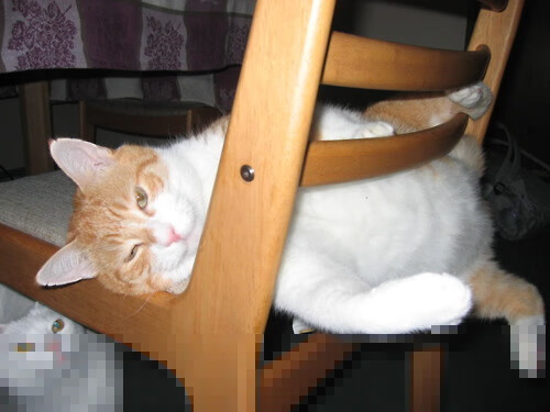 开云网页版-_大型主题公园：娱乐+运动一体化的欢乐赛事_，主题公园运营