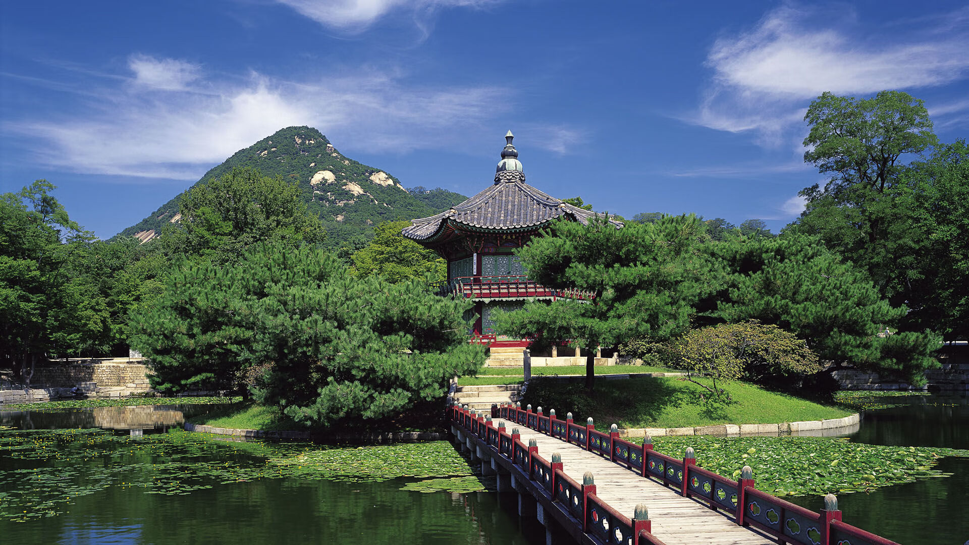 Kaiyun官方登录入口-中国足球产业链升级带动相关行业快速发展，中国足球产业白皮书