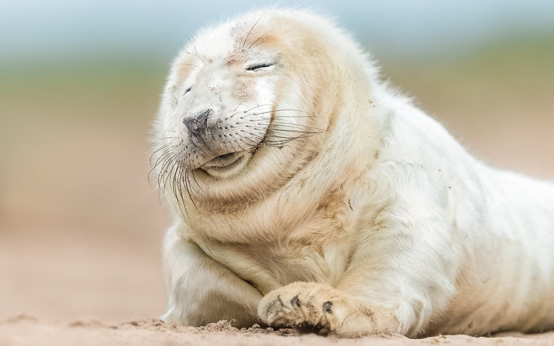 德甲裁判执法尺度引发讨论,公平问题再受关注,德甲场地