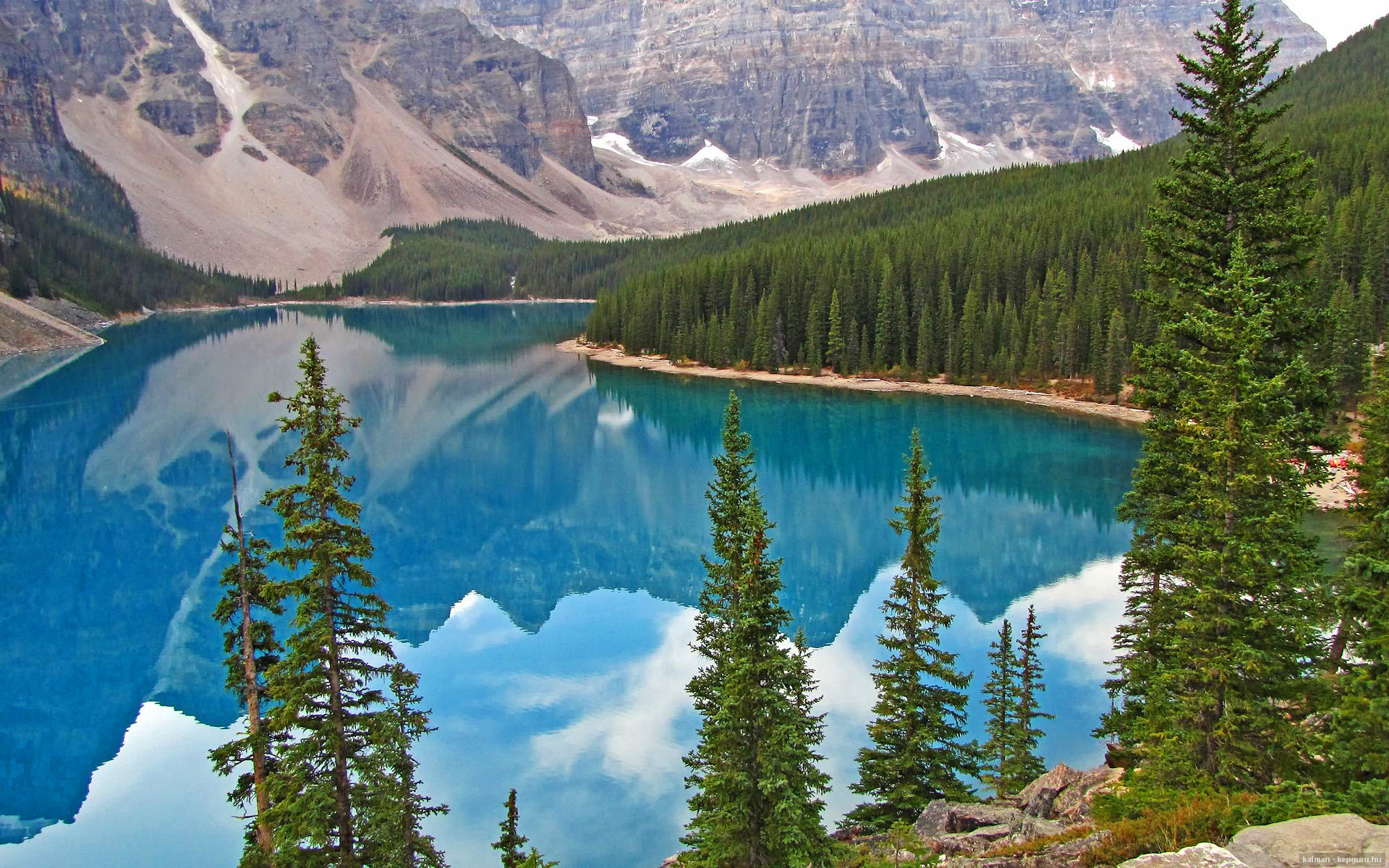 德甲裁判执法尺度引发讨论,公平问题再受关注,德甲场地