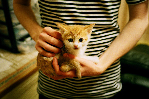 日本市场:NBA在亚洲的最新发展趋势,日本在nba打球