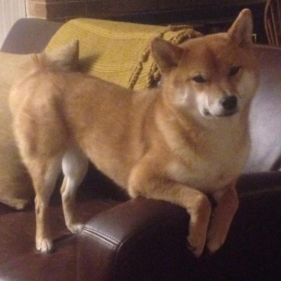 开云·体育官网-特色城市篮球节成为城市文化重要组成部分，十大篮球城市