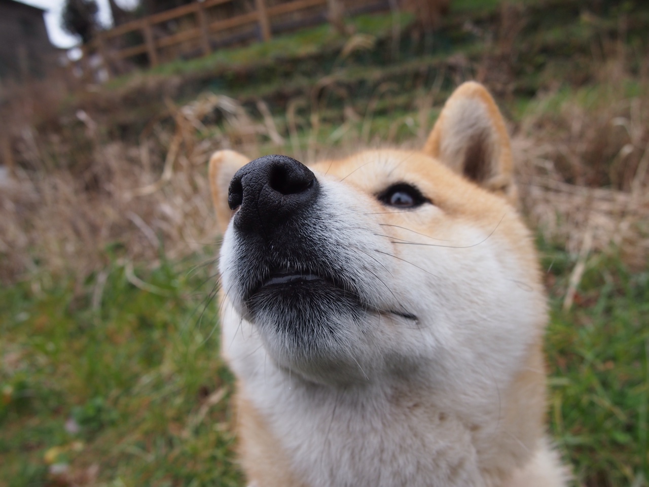 田径多项世界纪录被刷新,包括女子跳高、男子撑杆跳高、女子1500米、男子3000米和女子马拉松等项目。