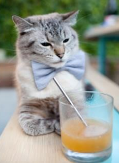 篮球赛事品牌形象打造成效显著,篮球比赛设计logo理念