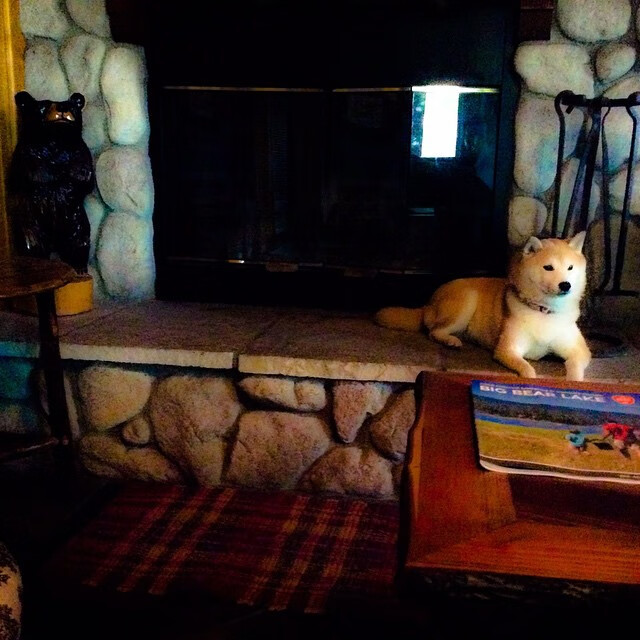 记者专访:未来联盟的数字化转型都有哪些亮点?,未来联盟门面