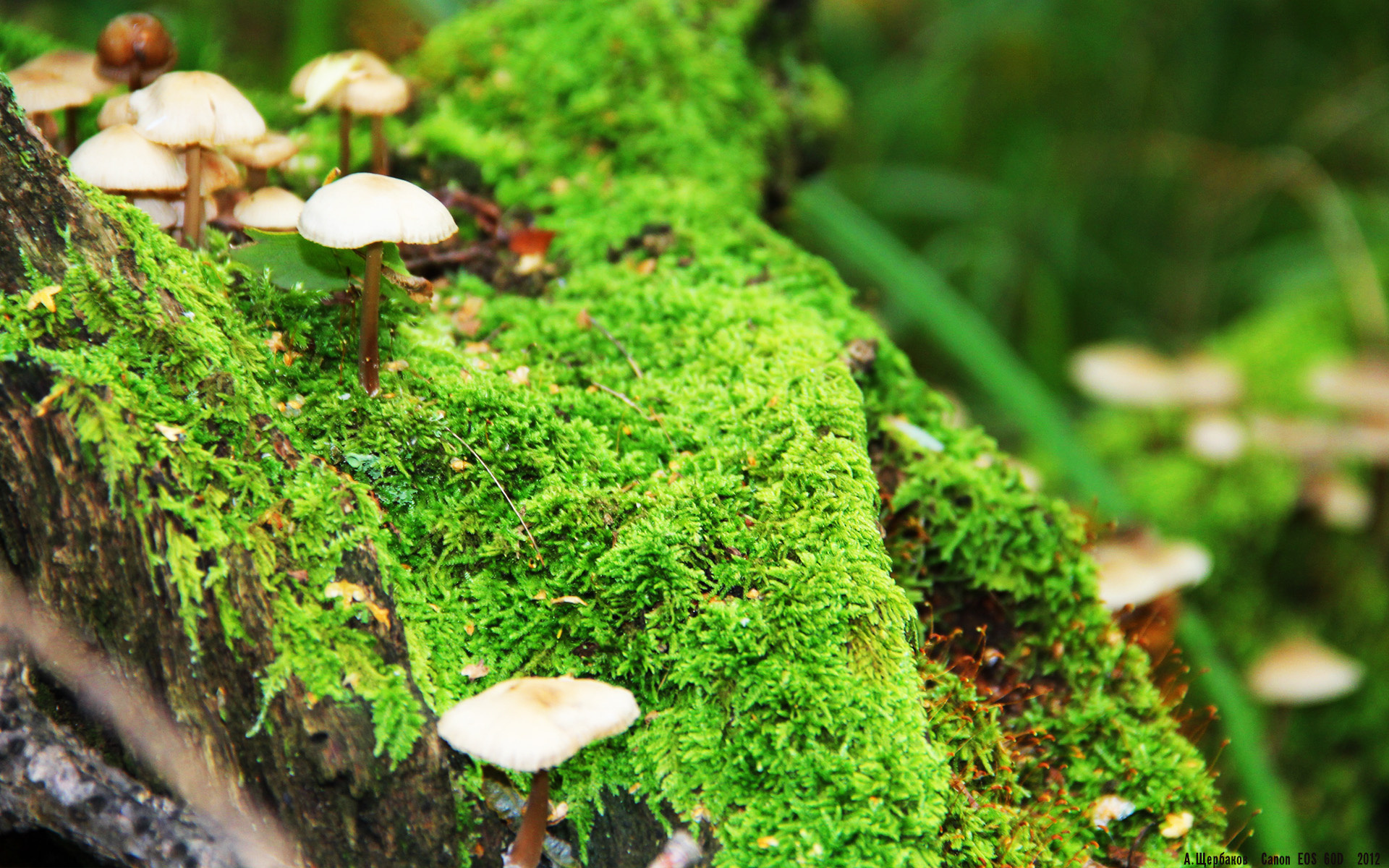 开云网页版-意外赛事推迟开赛，球迷遗憾不已，推迟比赛