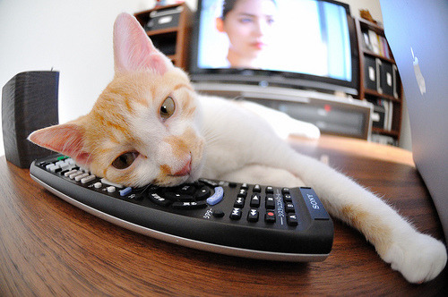 篮球舞台上再度上演，球场风暴激情澎湃，篮球场上的舞蹈