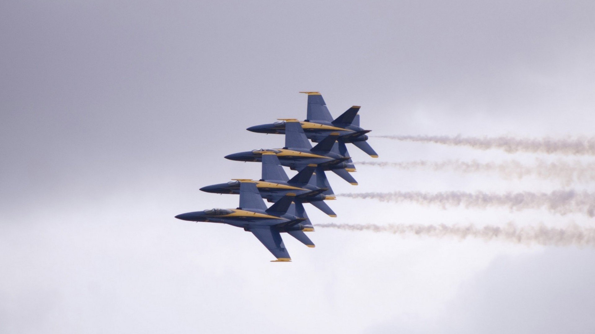 老鹰球迷痴狂庆祝 悍然挑战现行规则，悍匪老鹰原型