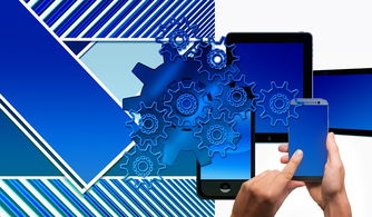 kaiyun登录入口-中国篮球联赛品牌建设及粉丝经济研究，国内篮球职业联赛