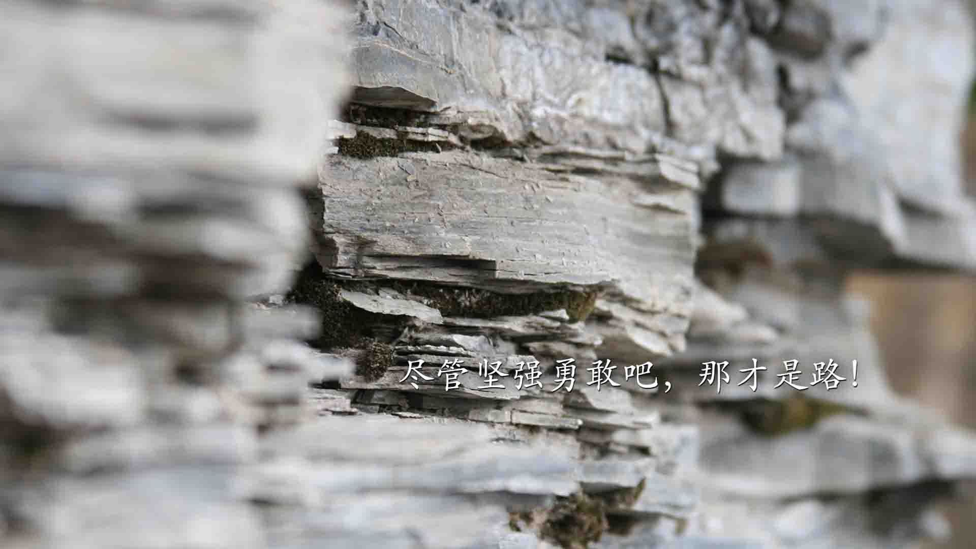 中国篮球职业联赛赛事直播互动技术创新研究，篮球联赛直播视频