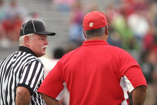 kaiyun开云·官方网站-意甲裁判语义分析辅助判罚准确性的应用探讨，意甲裁判名单