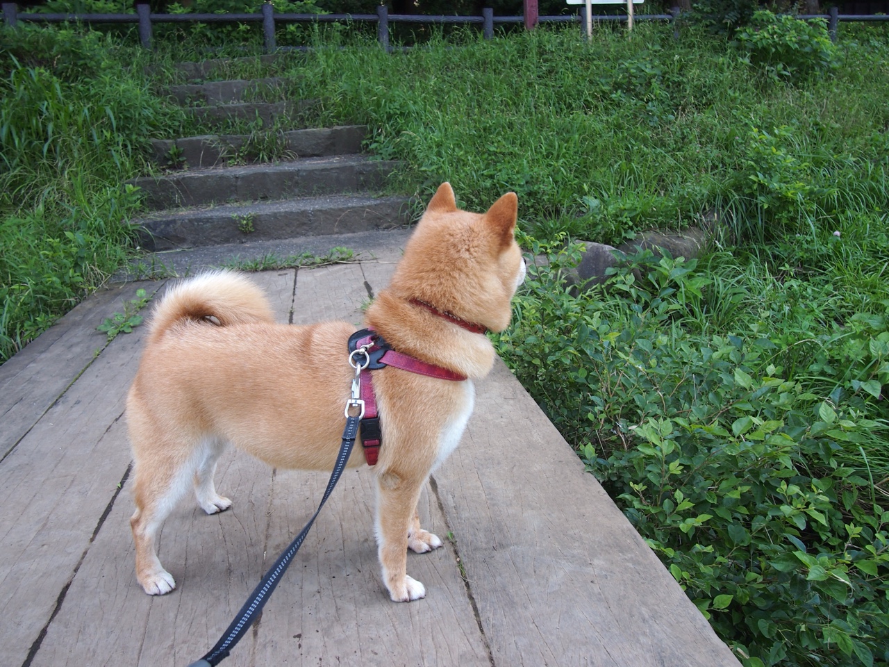 英超球队通过高强度间歇训练提升球员耐力表现，英超球队一天训练多久