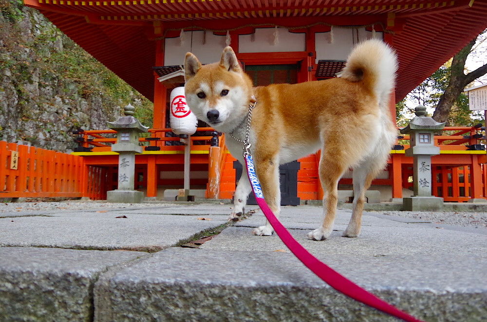 青少年锻炼促进措施，青少年锻炼促进措施怎么写