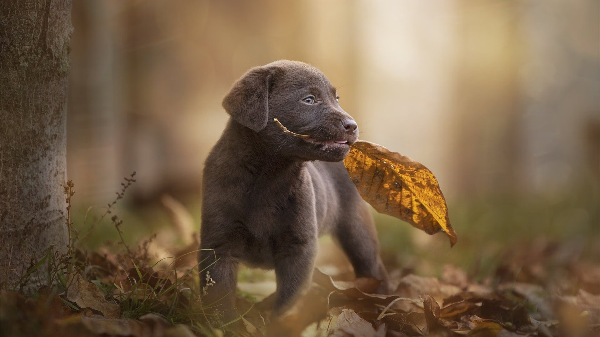 kaiyun开云·官方网站-CBA多场焦点战引发关注 球迷热议，cba重磅消息