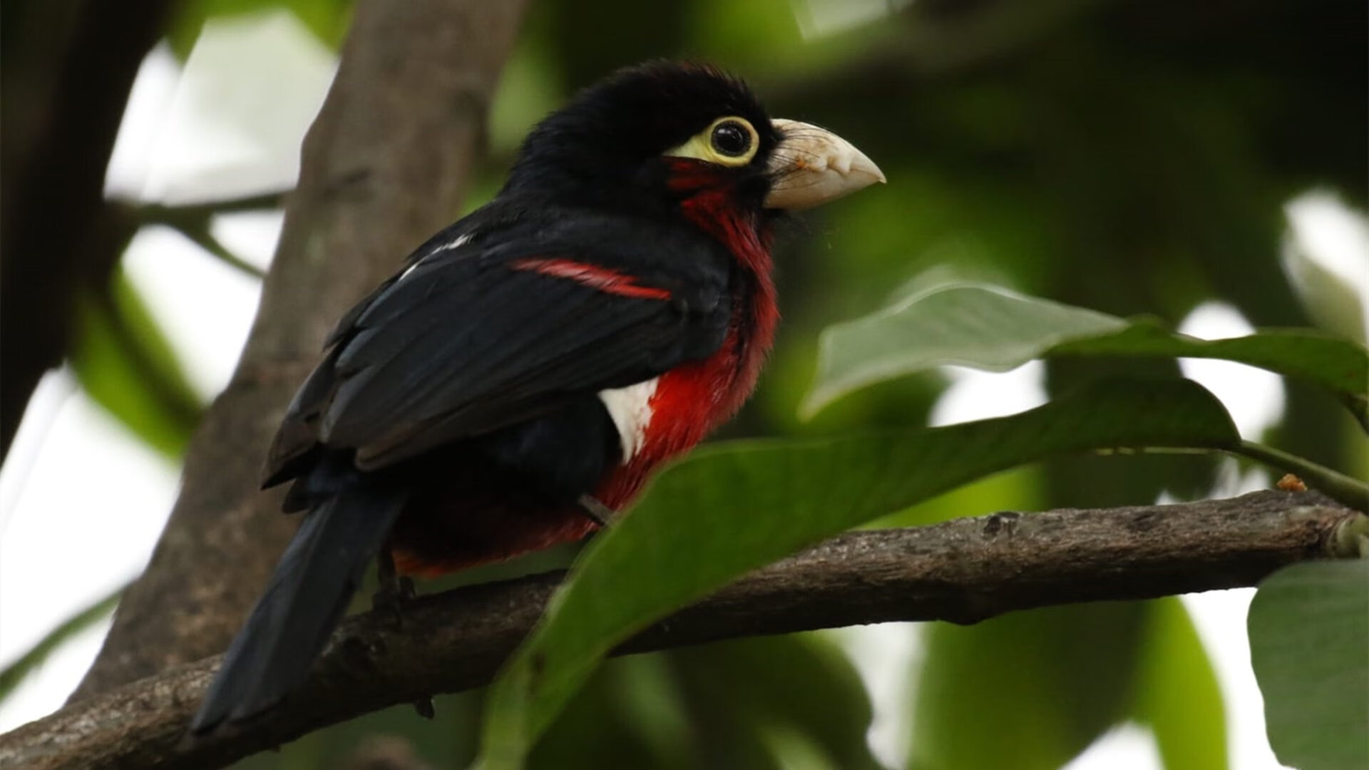 开云·Kaiyun网页版-中超联赛赛程压缩挑战球队体能极限，中超比赛规则改革