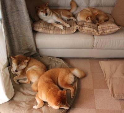 开云·体育官网-皇家社会小范围配合打破密集防守，皇家社会对阵