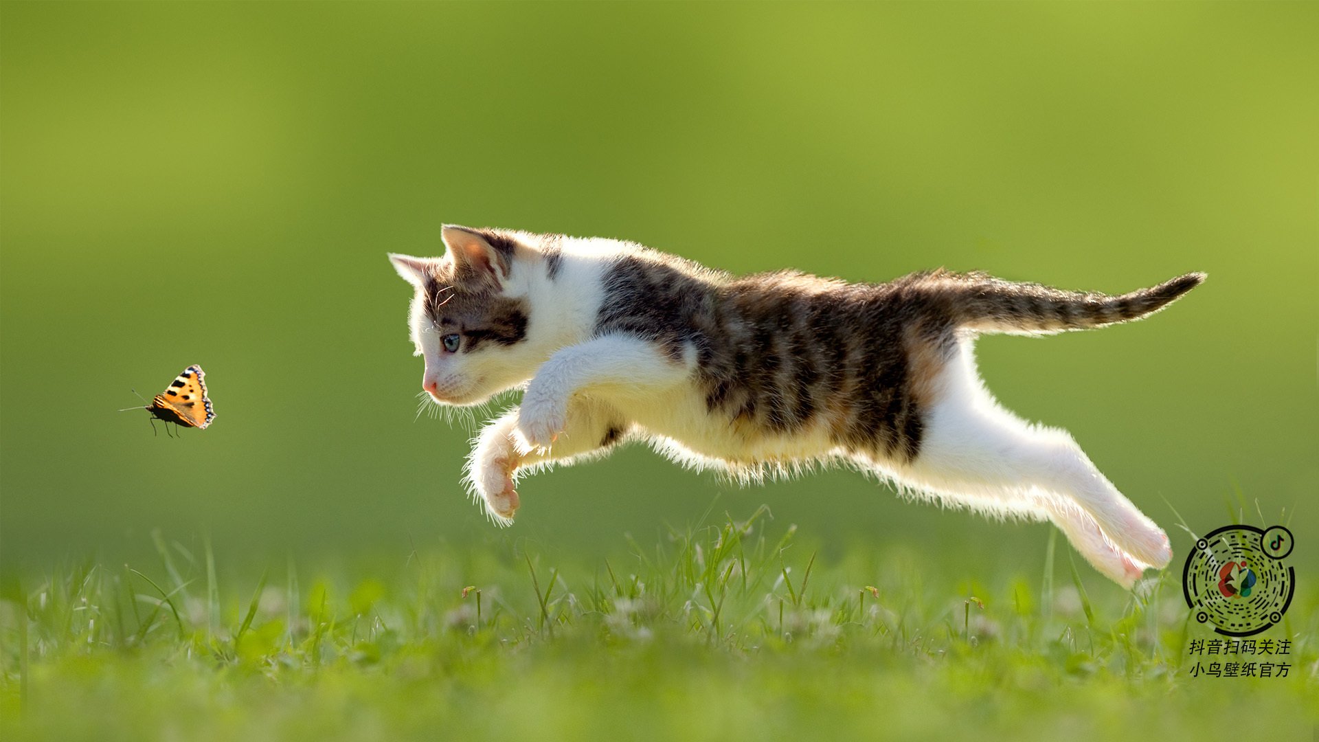 巴黎圣日耳曼稳步跻身榜首,豪取多连胜