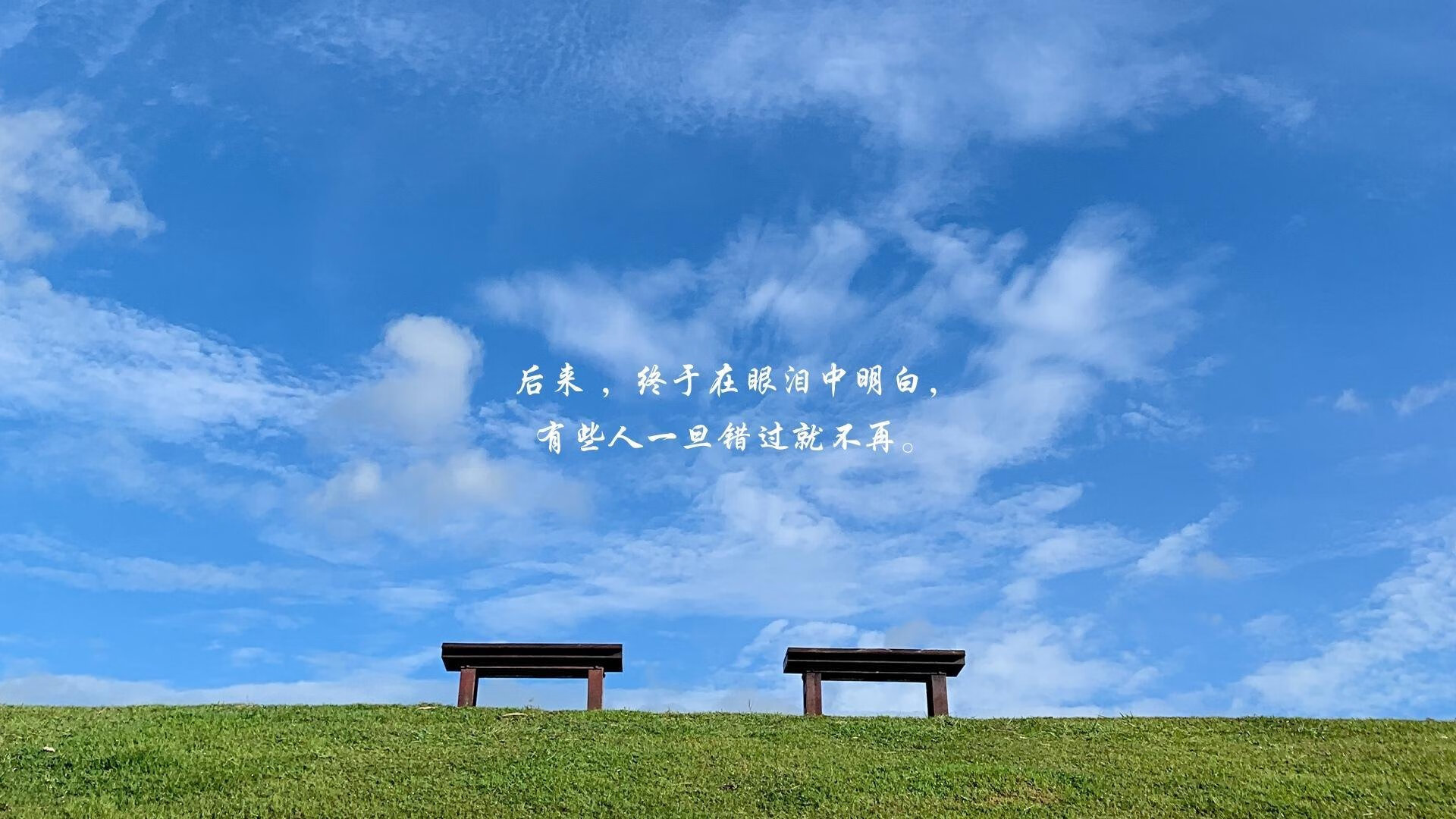 开云·体育官网APP下载-英国队用坚韧与速度征服赛场，英国队比赛