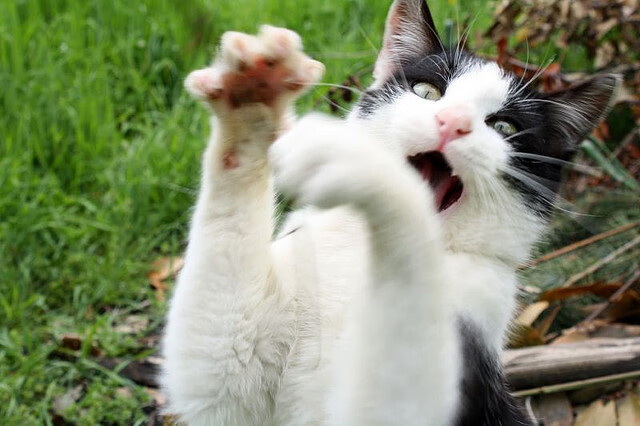 足球联赛射手榜排名发生巨大变化,足球比赛射手榜